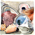 Sea Shells Decorative Throw Pillow 14x14 Indoor Outdoor Accent Cushion, Fabric Cover with Insert for Sofa, Bed, Porch & Living Room
