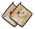 Labrador Wipe your Paws Pot Holder Set of 2 Heat Resistant Quilted Hot Pads 7.5 x 7.5 Inch, Insulated Kitchen Trivets for Cooking & Baking