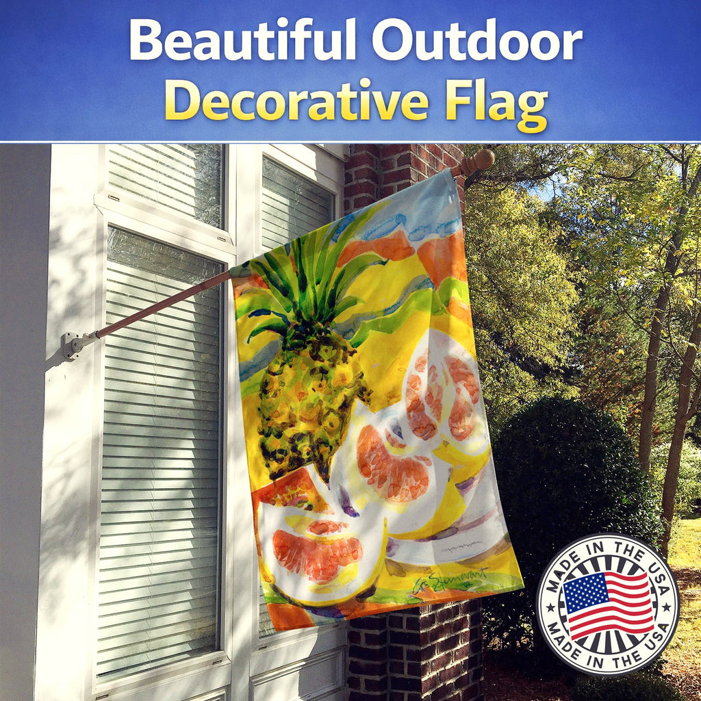 Pineapple House Flag 28x40 Porch Sleeve Pole Decorative Outside Yard Banner Artwork Wall Hanging, Polyester