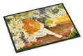 Cat Doormat Indoor Outdoor 18H X 27W Front Door Mat Rugs for Entryway, Non Slip Washable
