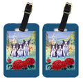Boston Terrier Trio Luggage Tag