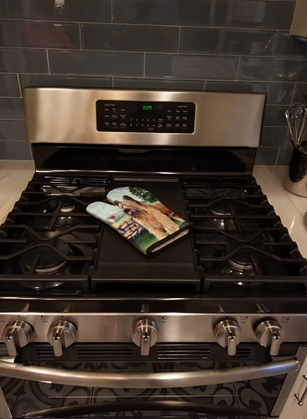 Briard Oven Mitt Heat Resistant Thick Oven Mitt for Hot Pans and Oven, Kitchen Mitt Protect Hands, Cooking Baking Glove
