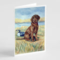 Chocolate Labrador Puppy  Greeting Cards Pack of 8 Blank Cards with Envelopes Whimsical A7 Size 5x7