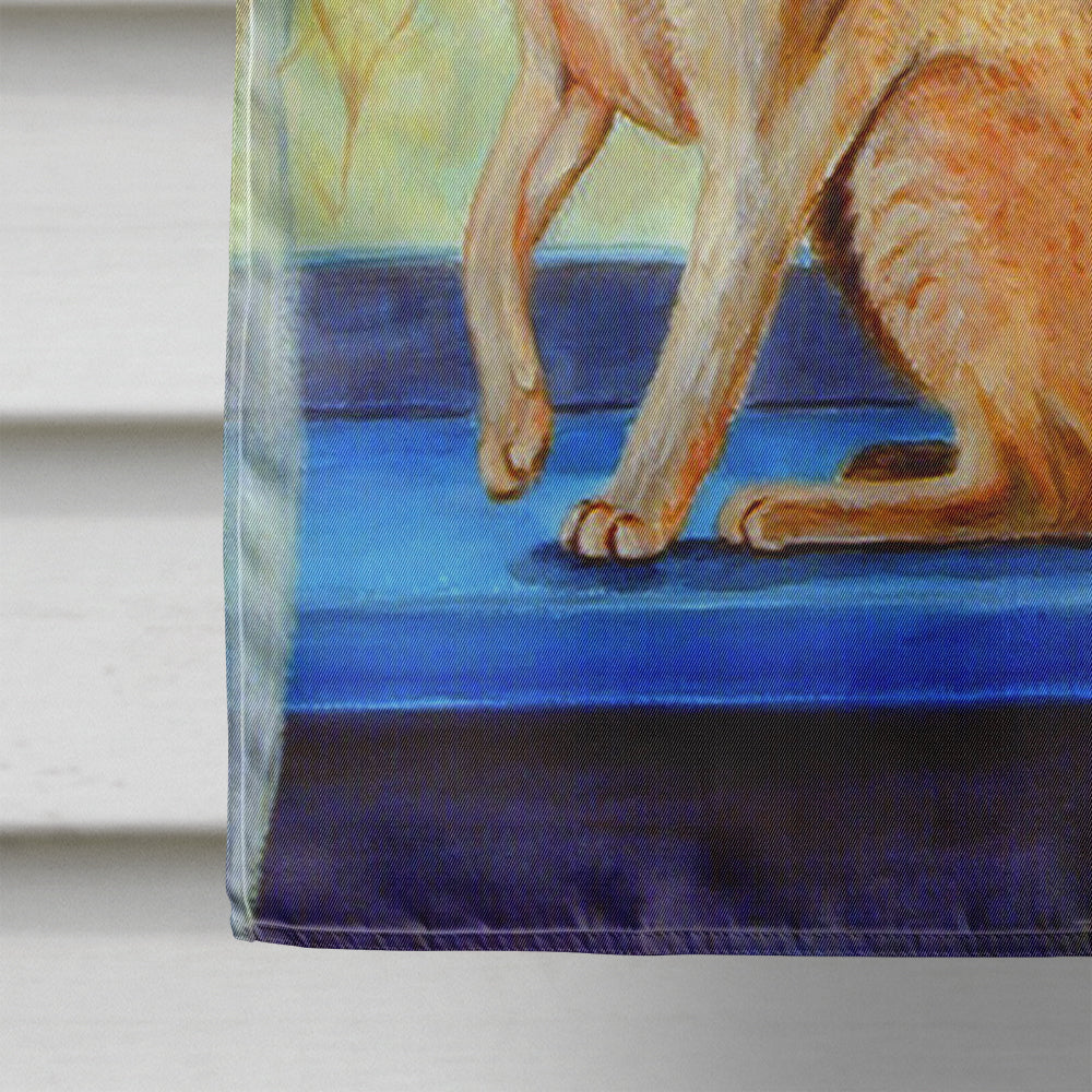 Cat House Flag 28x40 Porch Sleeve Pole Decorative Outside Yard Banner Artwork Wall Hanging, Polyester