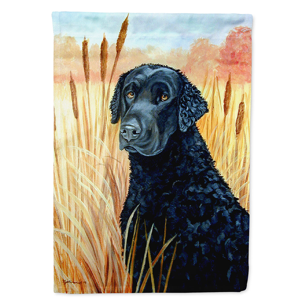 Curly Coated Retriever House Flag 28x40 Porch Sleeve Pole Decorative Outside Yard Banner Artwork Wall Hanging, Polyester