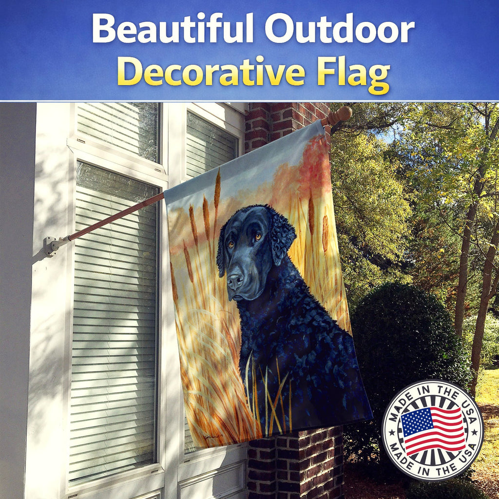 Curly Coated Retriever House Flag 28x40 Porch Sleeve Pole Decorative Outside Yard Banner Artwork Wall Hanging, Polyester