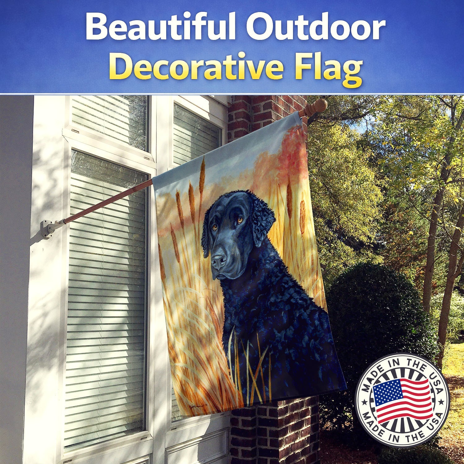 Curly Coated Retriever House Flag 28x40 Porch Sleeve Pole Decorative Outside Yard Banner Artwork Wall Hanging, Polyester