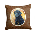 Curly Coated Retriever Decorative Throw Pillow 14x14 Indoor Outdoor Accent Cushion, Fabric Cover with Insert for Sofa, Bed, Porch & Living Room