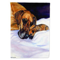 Natural Eared Fawn Great Dane Momma and Puppy House Flag 28x40 Porch Sleeve Pole Decorative Outside Yard Banner Artwork Wall Hanging, Polyester