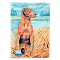 Chesapeake Bay Retriever House Flag 28x40 Porch Sleeve Pole Decorative Outside Yard Banner Artwork Wall Hanging, Polyester