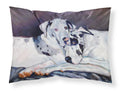 Harlequin Natural Great Danes Standard Pillowcase Lightweight Super Soft Easy Care Decorative Artwork Pillowcase, Standard
