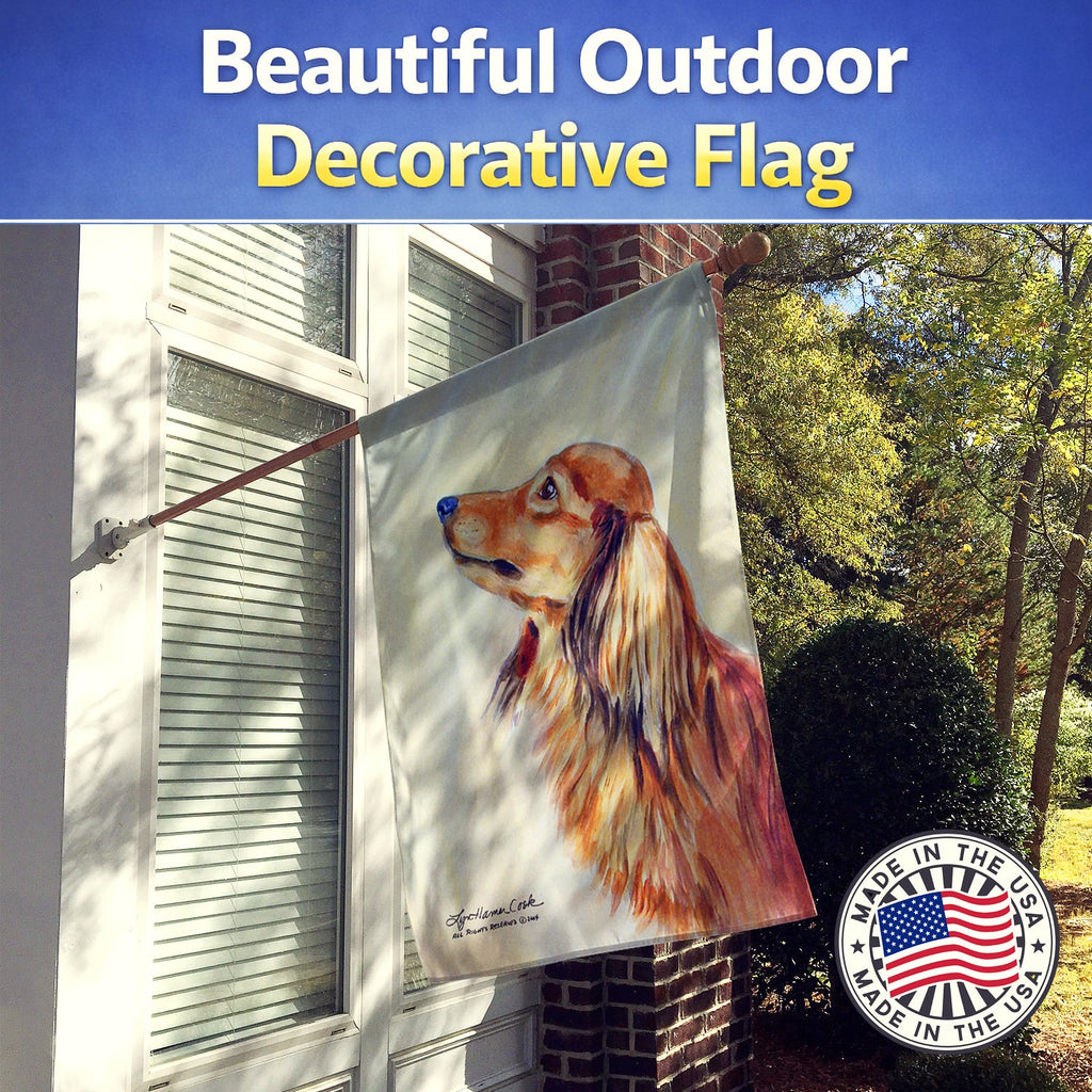 Long Haired Red Dachshund House Flag 28x40 Porch Sleeve Pole Decorative Outside Yard Banner Artwork Wall Hanging, Polyester