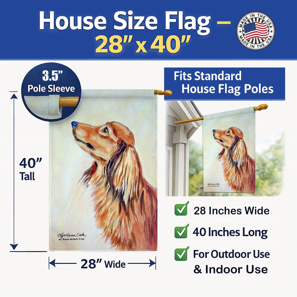 Long Haired Red Dachshund House Flag 28x40 Porch Sleeve Pole Decorative Outside Yard Banner Artwork Wall Hanging, Polyester