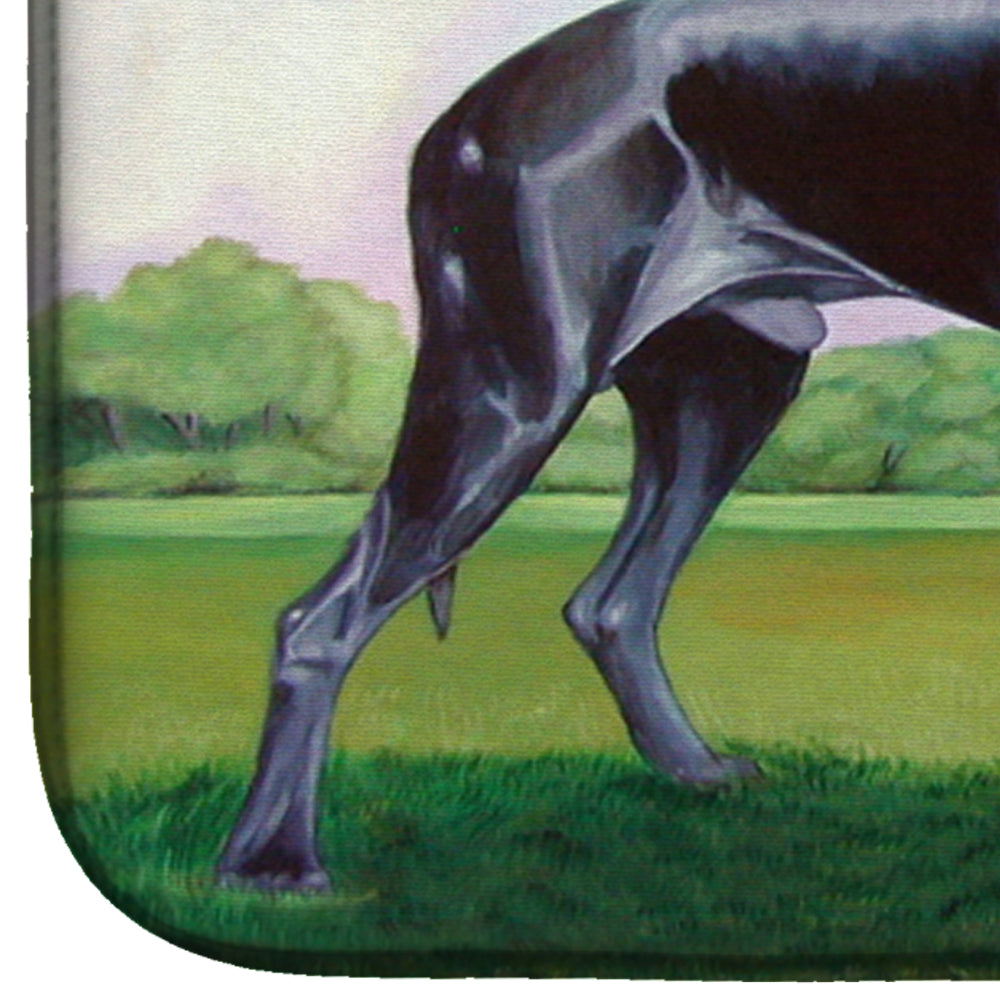 Great Dane Dish Drying Mat Absorbent Dish Drying Mat Pad for Kitchen Counter Dish Drainer Mat for Countertop, 14 x 21", Multicolor