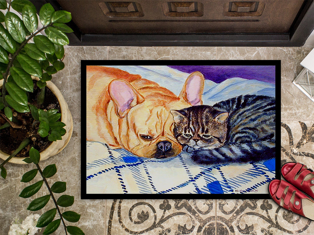 Cat Doormat Indoor Outdoor 18H X 27W Front Door Mat Rugs for Entryway, Non Slip Washable
