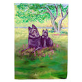 Schipperke and puppy House Flag 28x40 Porch Sleeve Pole Decorative Outside Yard Banner Artwork Wall Hanging, Polyester