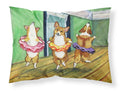 Little Ballerina Corgi Standard Pillowcase Lightweight Super Soft Easy Care Decorative Artwork Pillowcase, Standard