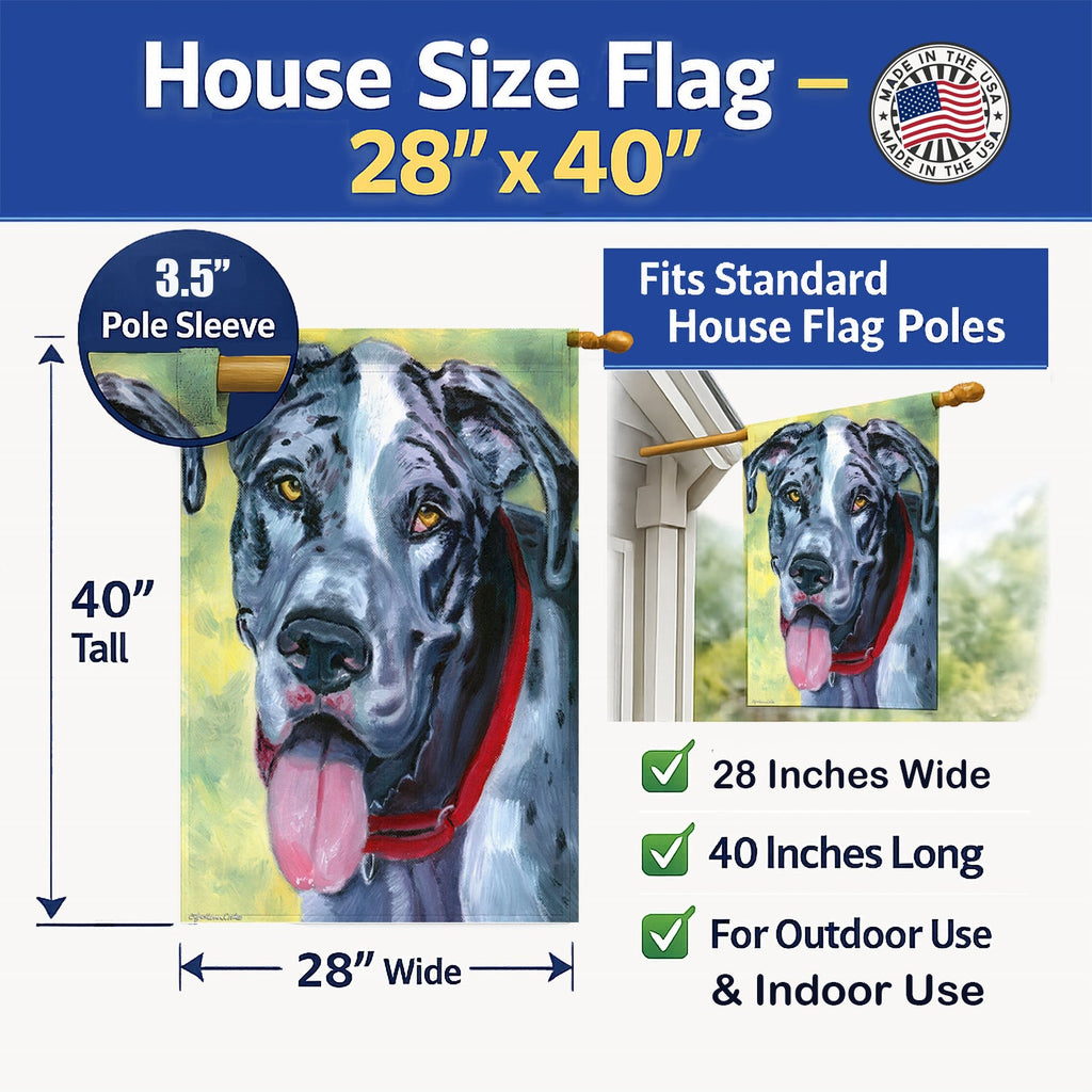 Great Dane Apollo House Flag 28x40 Porch Sleeve Pole Decorative Outside Yard Banner Artwork Wall Hanging, Polyester