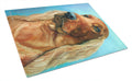 Irish Setter in Blue Cutting Board Tempered Glass Kitchen Cutting Surface, Heat Resistant Chopping, Non-Slip Feet, Food Prep & Serving