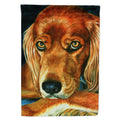 Irish Setter Serious House Flag 28x40 Porch Sleeve Pole Decorative Outside Yard Banner Artwork Wall Hanging, Polyester