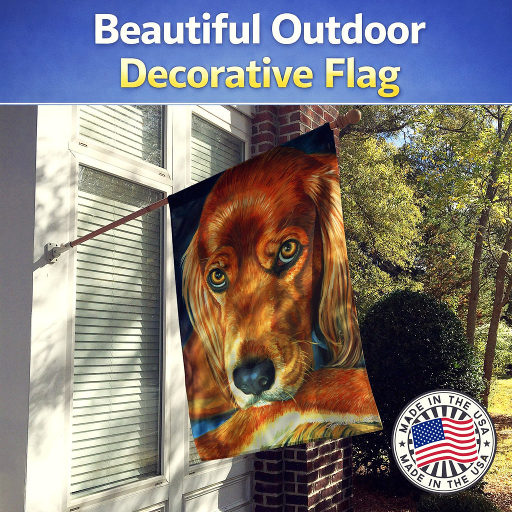 Irish Setter Serious House Flag 28x40 Porch Sleeve Pole Decorative Outside Yard Banner Artwork Wall Hanging, Polyester