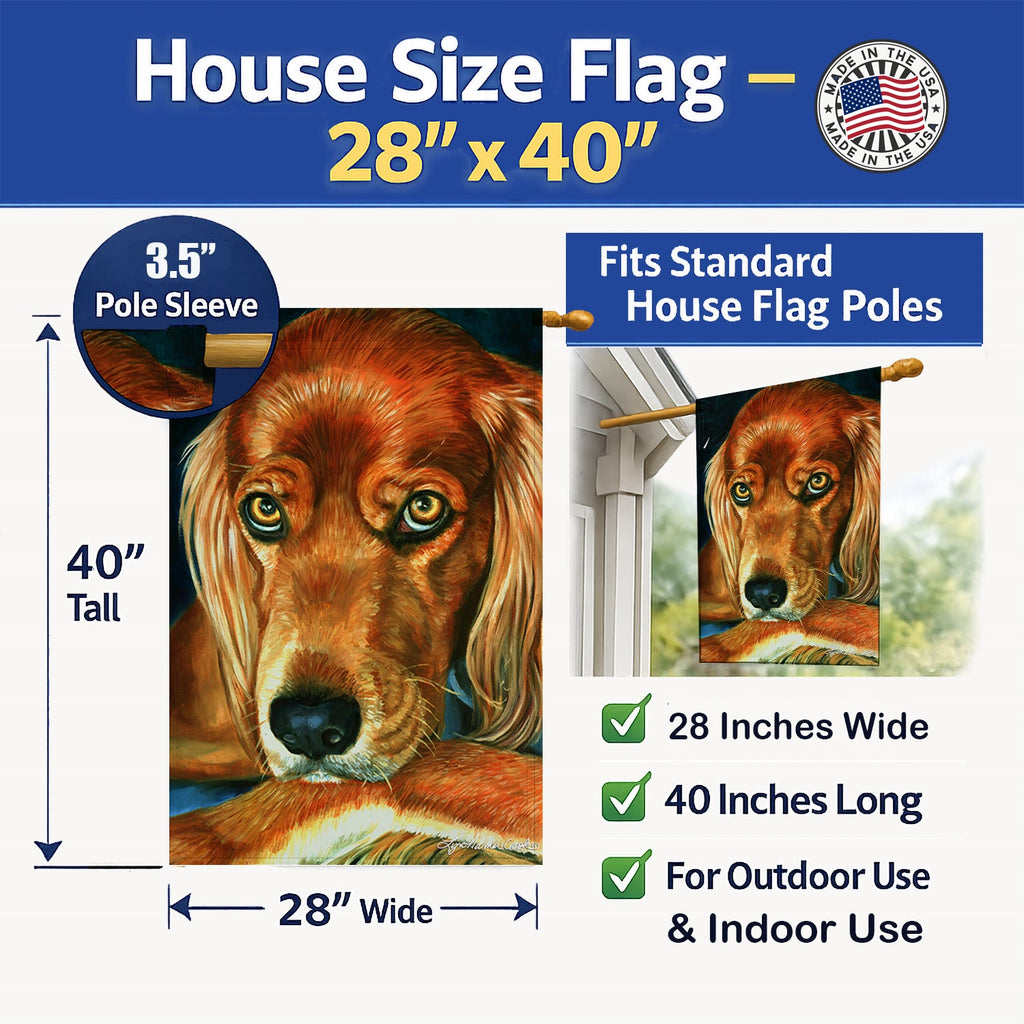Irish Setter Serious House Flag 28x40 Porch Sleeve Pole Decorative Outside Yard Banner Artwork Wall Hanging, Polyester