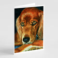 Irish Setter Serious Greeting Cards Pack of 8 Blank Cards with Envelopes Whimsical A7 Size 5x7