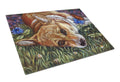 Corgi Pastel Butterfly Cutting Board Tempered Glass Kitchen Cutting Surface, Heat Resistant Chopping, Non-Slip Feet, Food Prep & Serving