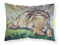 Wolf and Hummingbird Standard Pillowcase Lightweight Super Soft Easy Care Decorative Artwork Pillowcase, Standard
