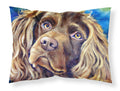 Boykin Spaniel Standard Pillowcase Lightweight Super Soft Easy Care Decorative Artwork Pillowcase, Standard