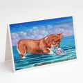 Corgi Sea Shell Find Greeting Cards Pack of 8 Blank Cards with Envelopes Whimsical A7 Size 5x7