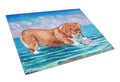 Corgi Sea Shell Find Cutting Board Tempered Glass Kitchen Cutting Surface, Heat Resistant Chopping, Non-Slip Feet, Food Prep & Serving