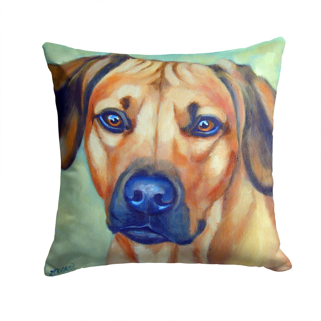 Rhodesian Ridgeback Decorative Throw Pillow 14x14 Indoor Outdoor Accent Cushion, Fabric Cover with Insert for Sofa, Bed, Porch & Living Room