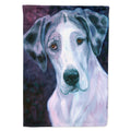 Curious Great Dane House Flag 28x40 Porch Sleeve Pole Decorative Outside Yard Banner Artwork Wall Hanging, Polyester
