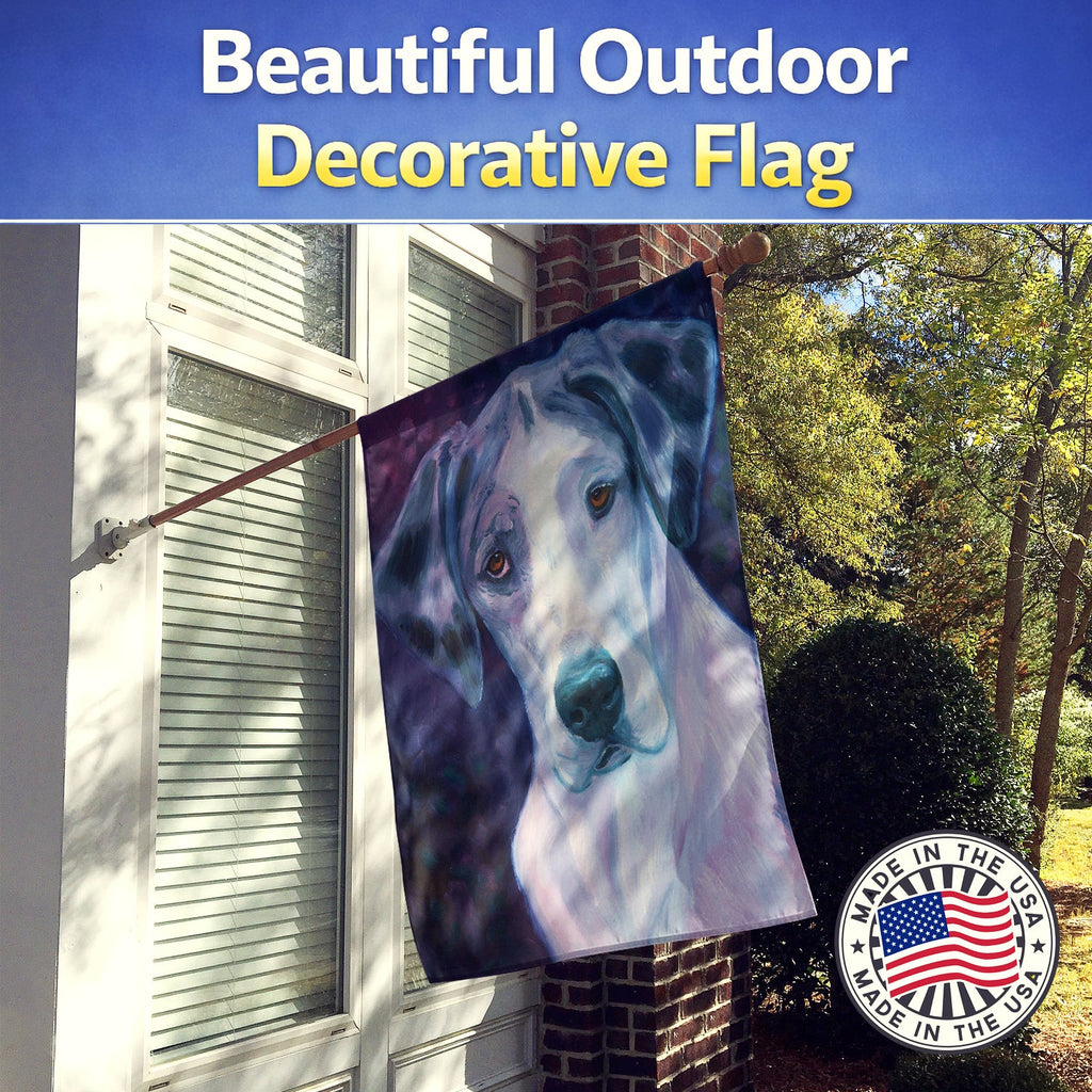 Curious Great Dane House Flag 28x40 Porch Sleeve Pole Decorative Outside Yard Banner Artwork Wall Hanging, Polyester