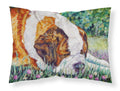 Saint Bernard Naptime Standard Pillowcase Lightweight Super Soft Easy Care Decorative Artwork Pillowcase, Standard