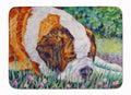 Saint Bernard Naptime Memory Foam Kitchen Mat Machine Washable Anti-Fatigue Cushion Comfort Bath or Kitchen Rug