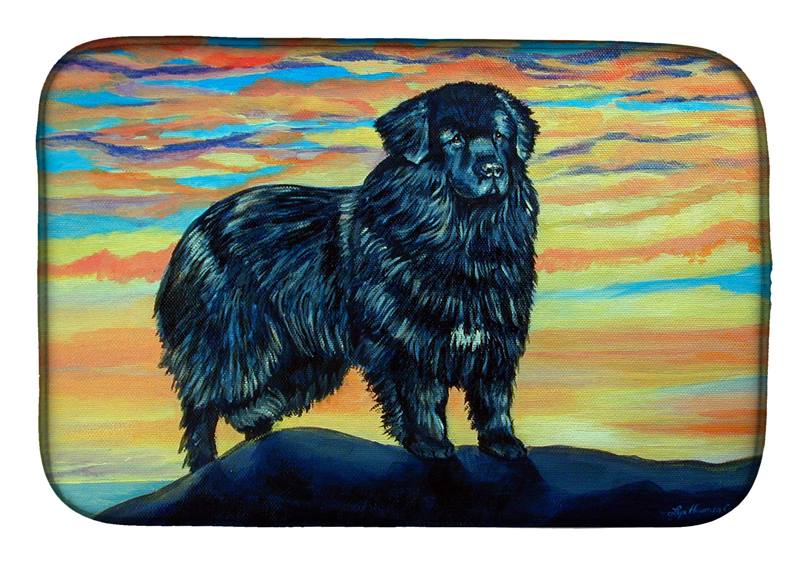 Newfoundland Dish Drying Mat Absorbent Dish Drying Mat Pad for Kitchen Counter Dish Drainer Mat for Countertop, 14 x 21", Multicolor