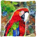 Parrot Decorative Throw Pillow 14x14 Indoor Outdoor Accent Cushion, Fabric Cover with Insert for Sofa, Bed, Porch & Living Room