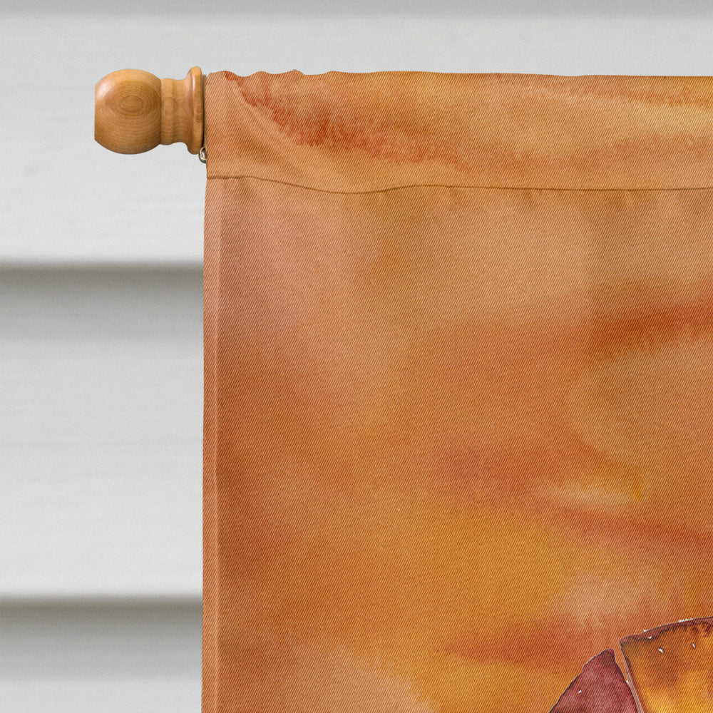 Cooked Shrimp Spicy Hot House Flag 28x40 Porch Sleeve Pole Decorative Outside Yard Banner Artwork Wall Hanging, Polyester