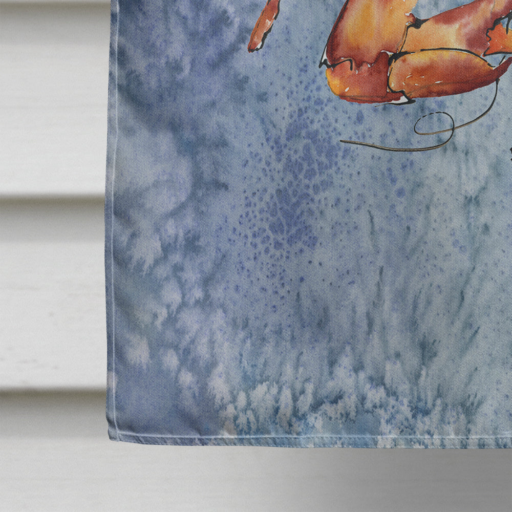 Cooked Crab Cool Blue Water House Flag 28x40 Porch Sleeve Pole Decorative Outside Yard Banner Artwork Wall Hanging, Polyester
