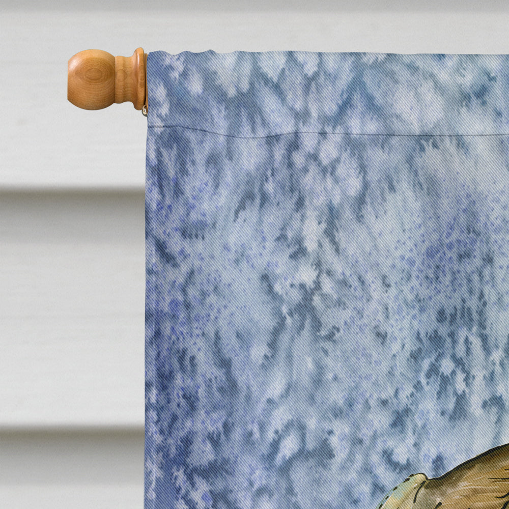 Oyster Cool Blue Water House Flag 28x40 Porch Sleeve Pole Decorative Outside Yard Banner Artwork Wall Hanging, Polyester