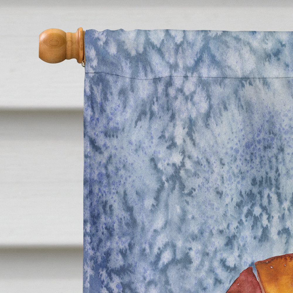 Cooked Shrimp Cool Blue Water House Flag 28x40 Porch Sleeve Pole Decorative Outside Yard Banner Artwork Wall Hanging, Polyester