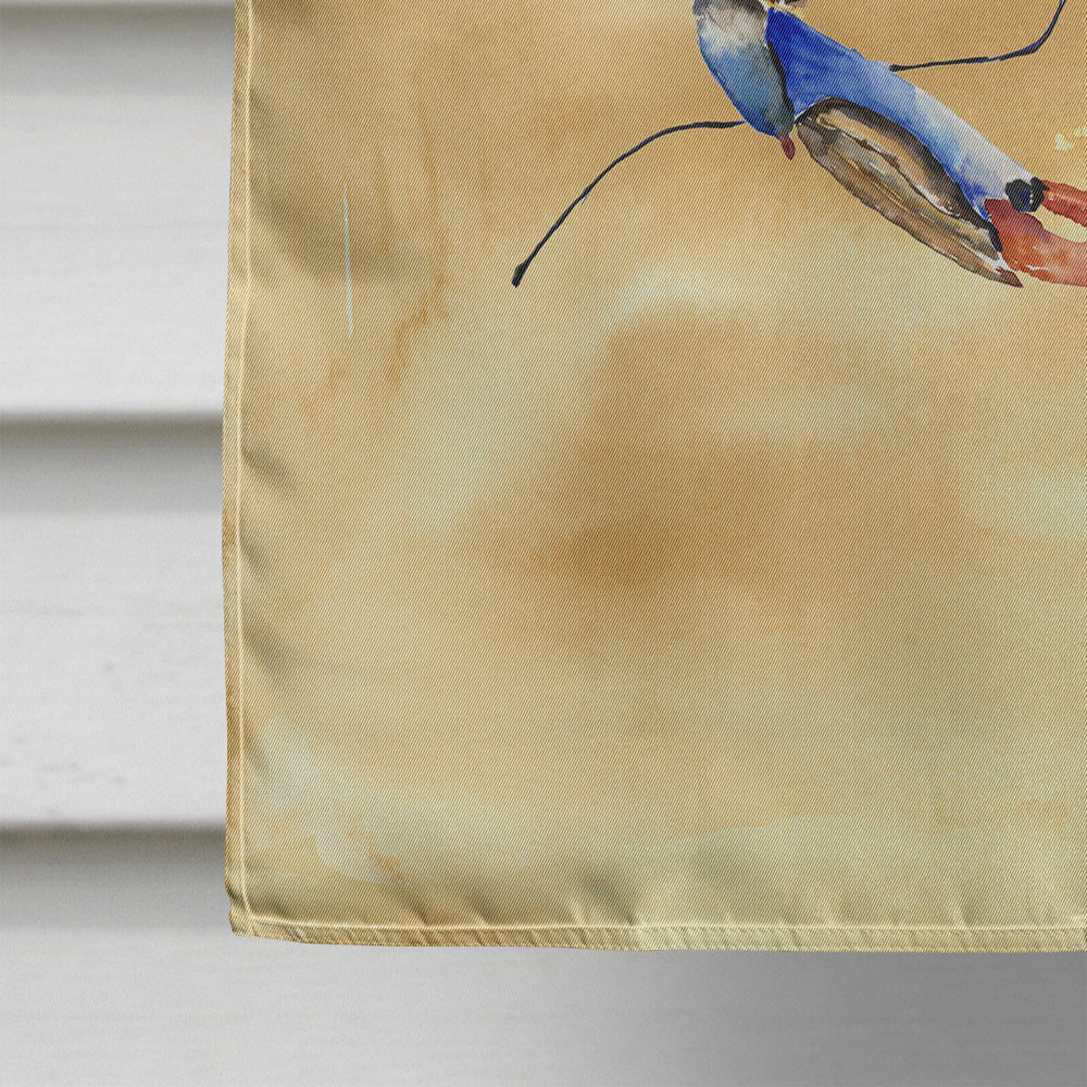 Female Blue Crab Sandy Beach House Flag 28x40 Porch Sleeve Pole Decorative Outside Yard Banner Artwork Wall Hanging, Polyester