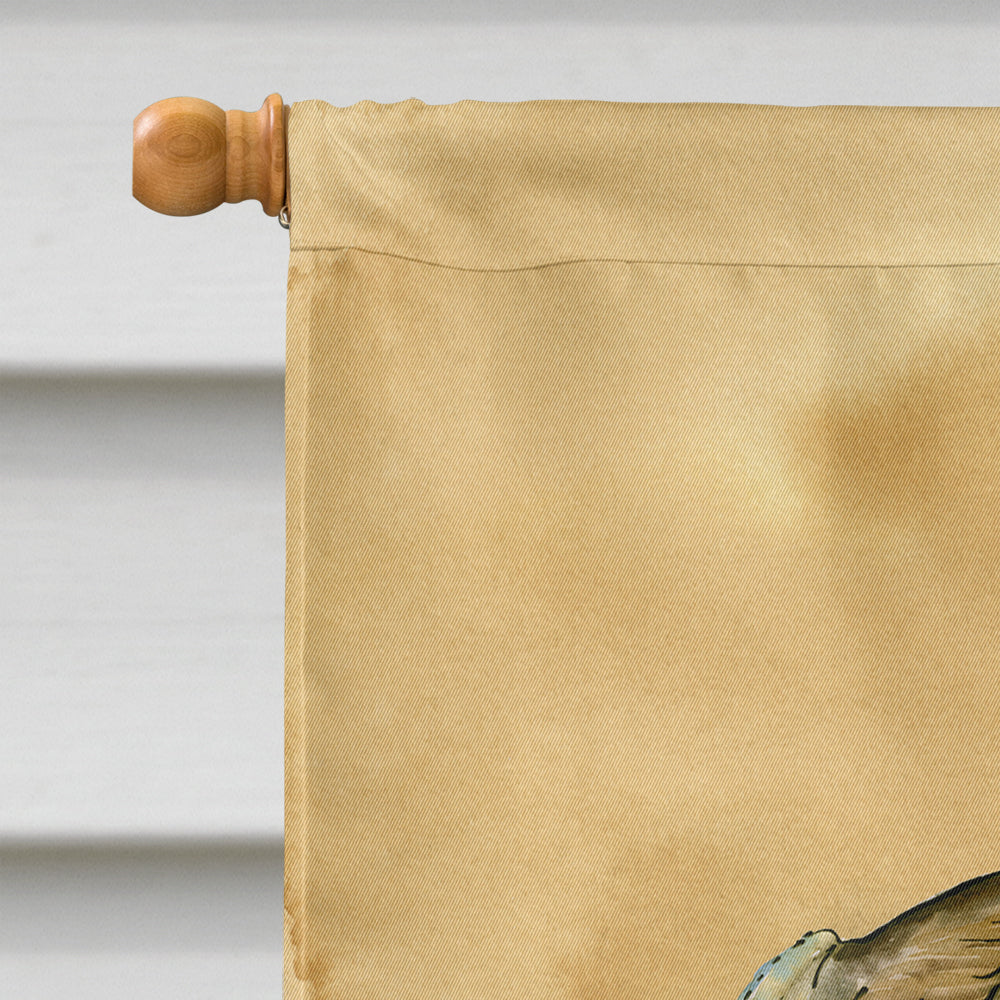 Oyster  Sandy Beach House Flag 28x40 Porch Sleeve Pole Decorative Outside Yard Banner Artwork Wall Hanging, Polyester