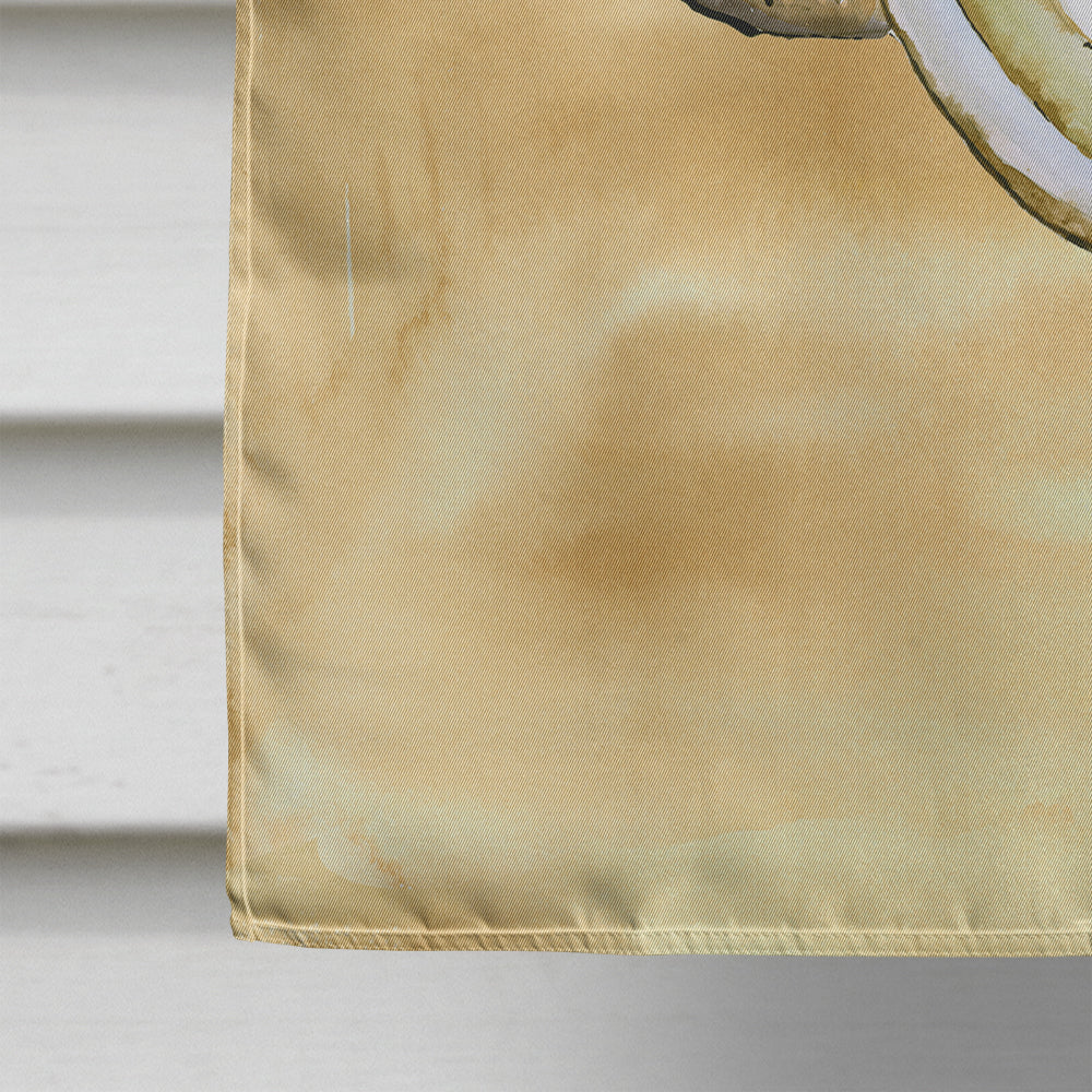 Oyster  Sandy Beach House Flag 28x40 Porch Sleeve Pole Decorative Outside Yard Banner Artwork Wall Hanging, Polyester