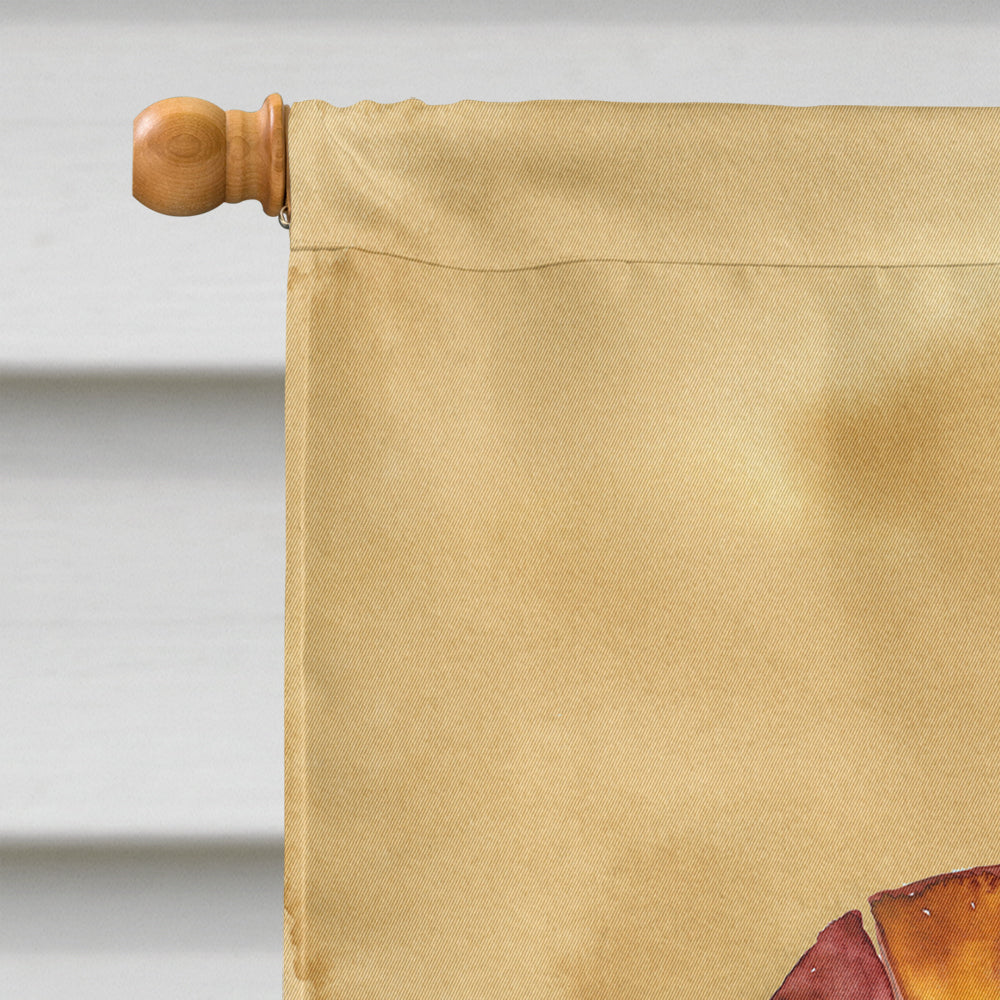 Shrimp  Sandy Beach House Flag 28x40 Porch Sleeve Pole Decorative Outside Yard Banner Artwork Wall Hanging, Polyester