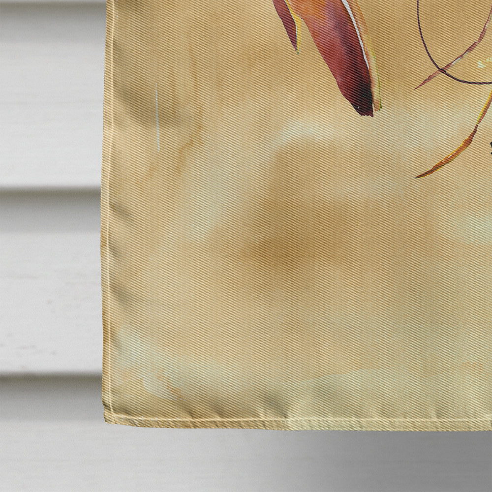Shrimp  Sandy Beach House Flag 28x40 Porch Sleeve Pole Decorative Outside Yard Banner Artwork Wall Hanging, Polyester