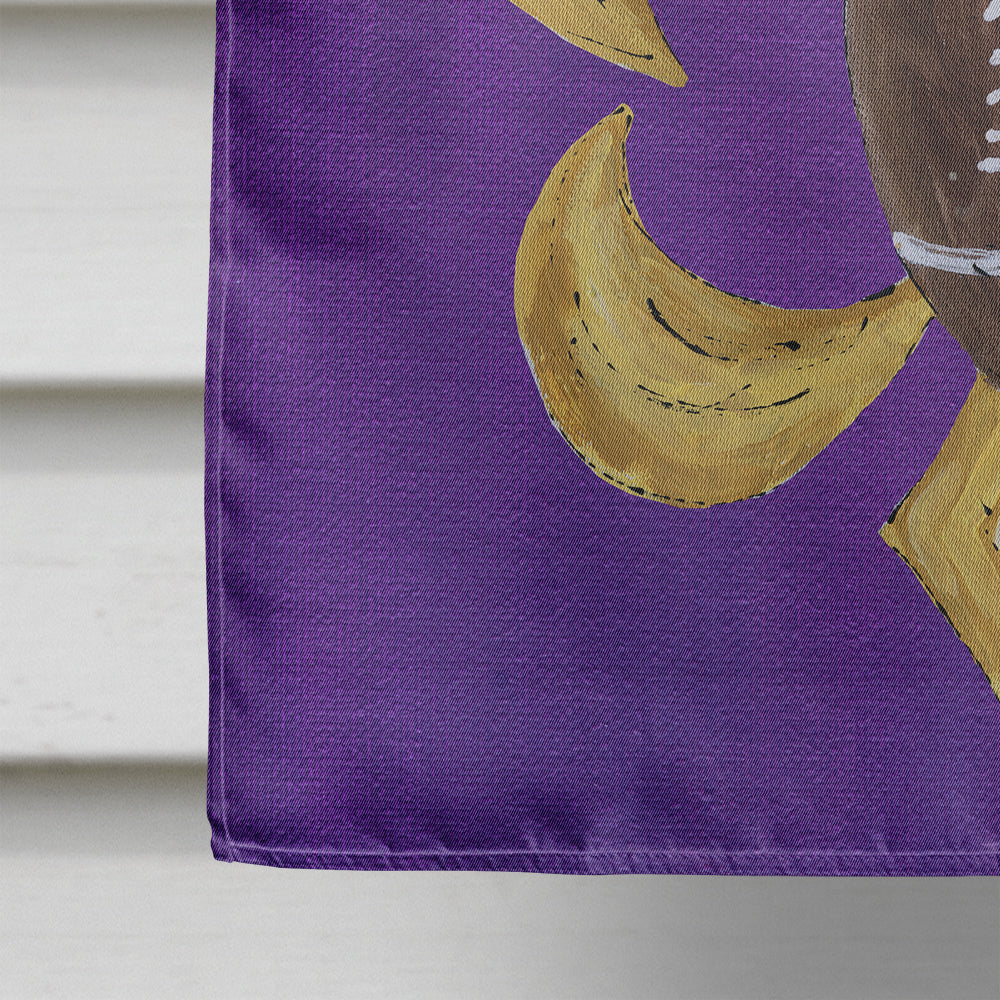 Tiger Football Fleur de lis House Flag 28x40 Porch Sleeve Pole Decorative Outside Yard Banner Artwork Wall Hanging, Polyester
