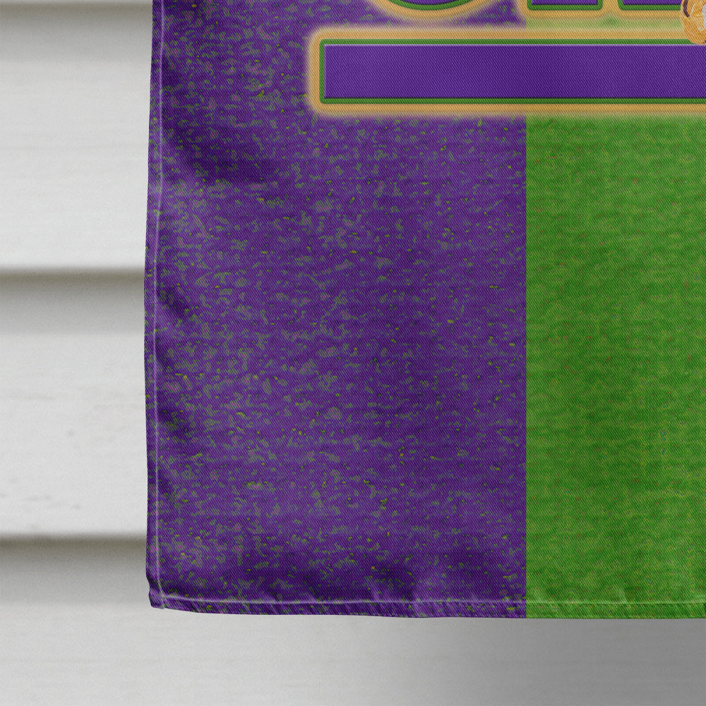 Mardi Gras House Flag 28x40 Porch Sleeve Pole Decorative Outside Yard Banner Artwork Wall Hanging, Polyester